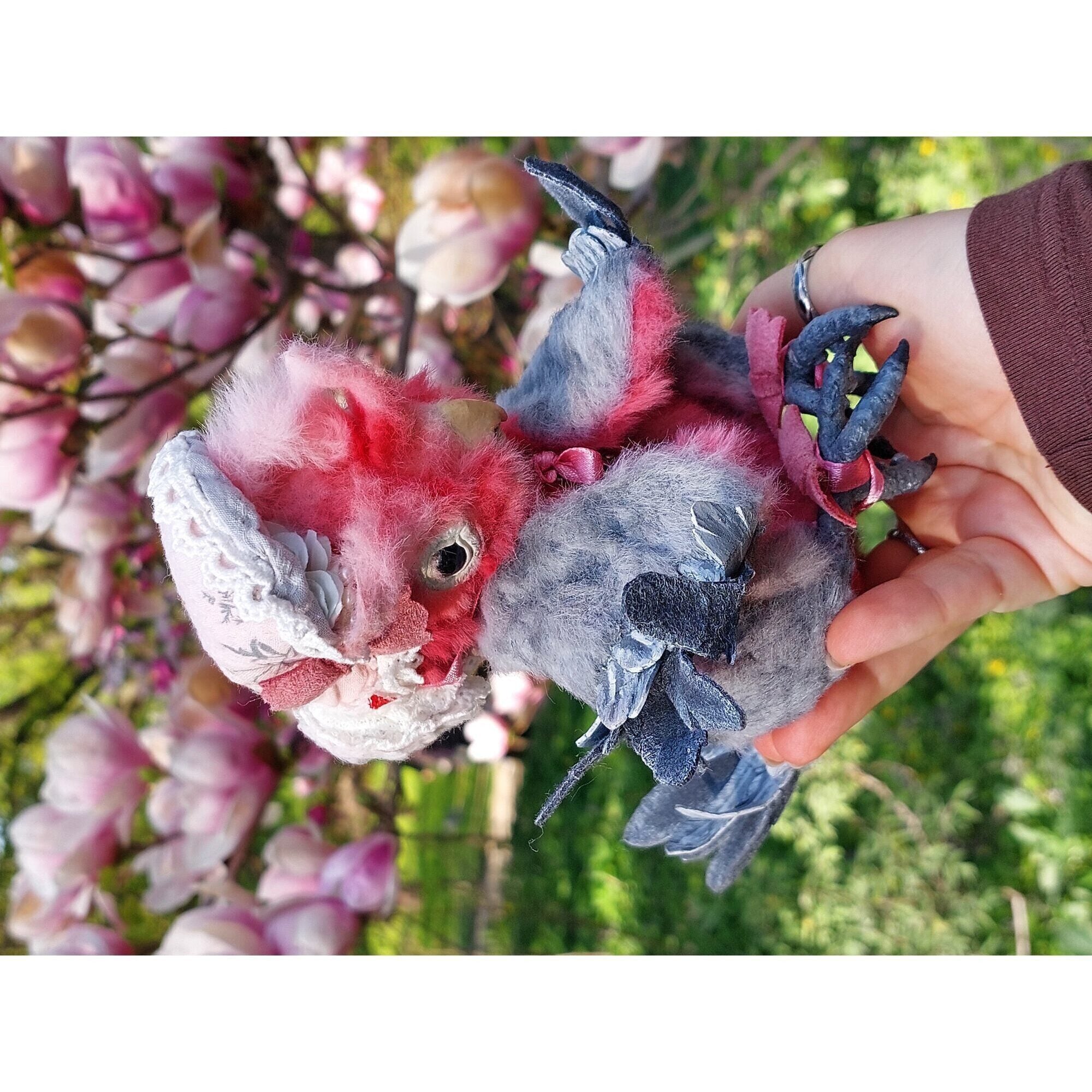 Teddy parrot