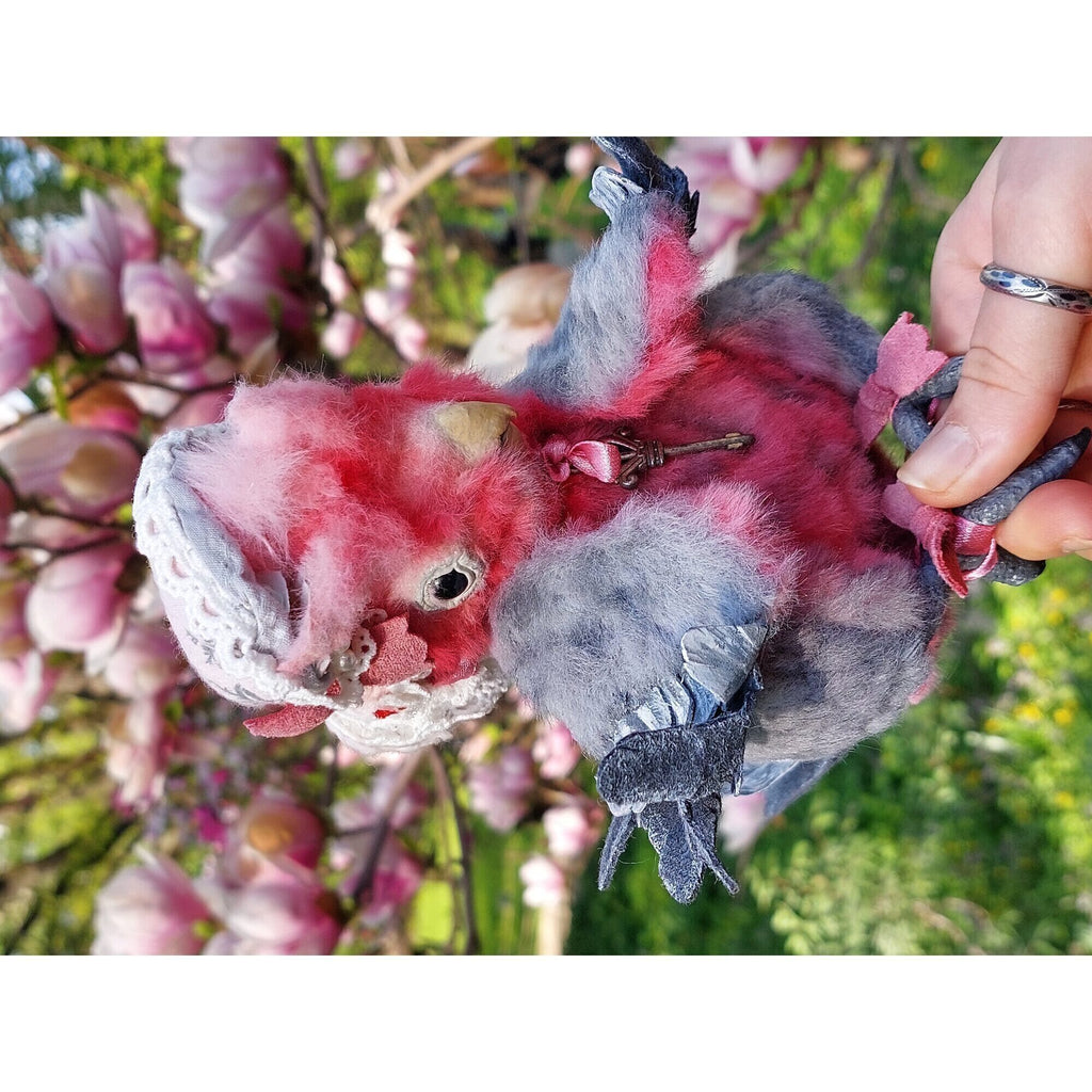 Teddy parrot