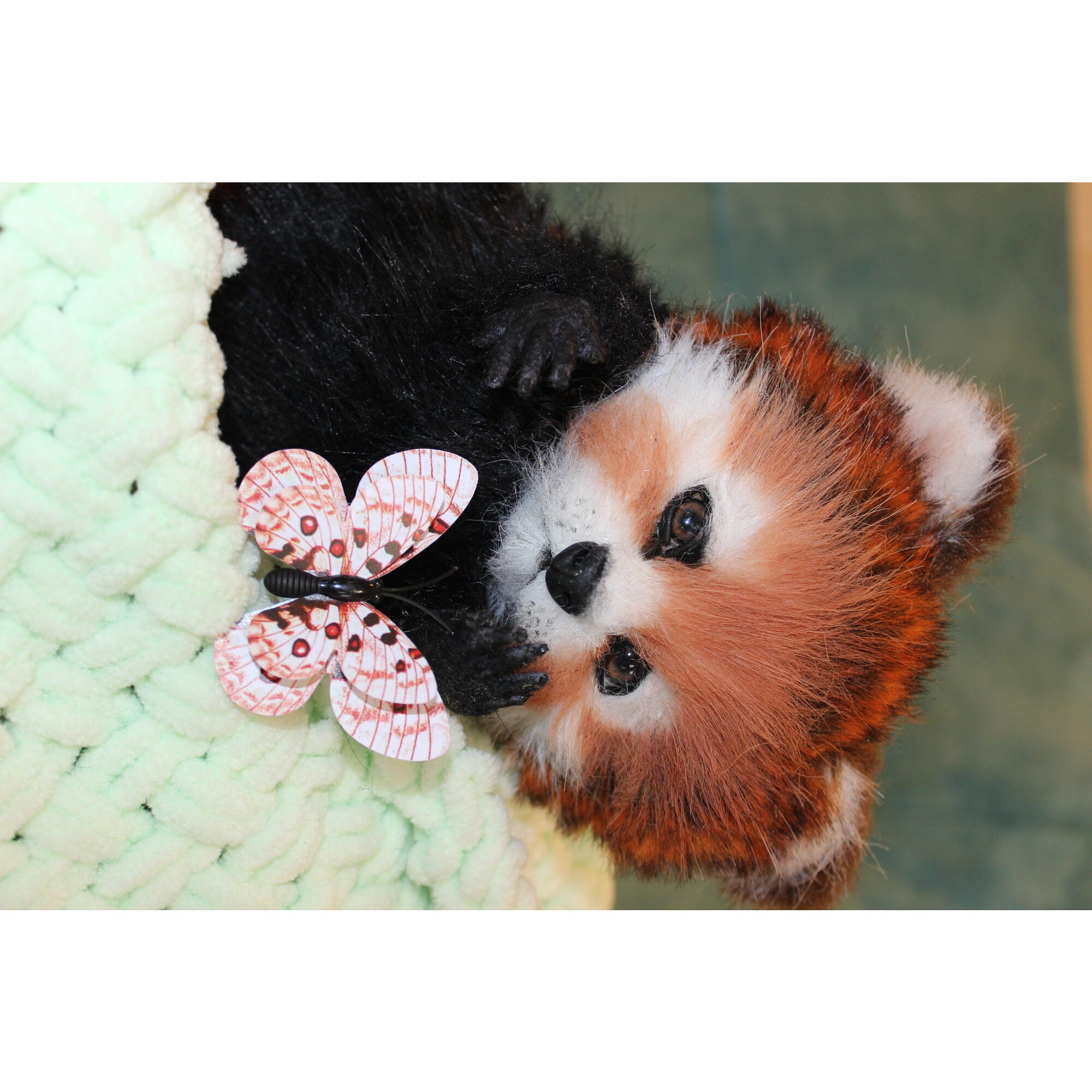 Red panda