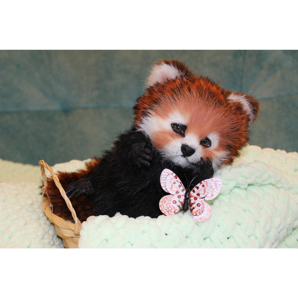 Red panda
