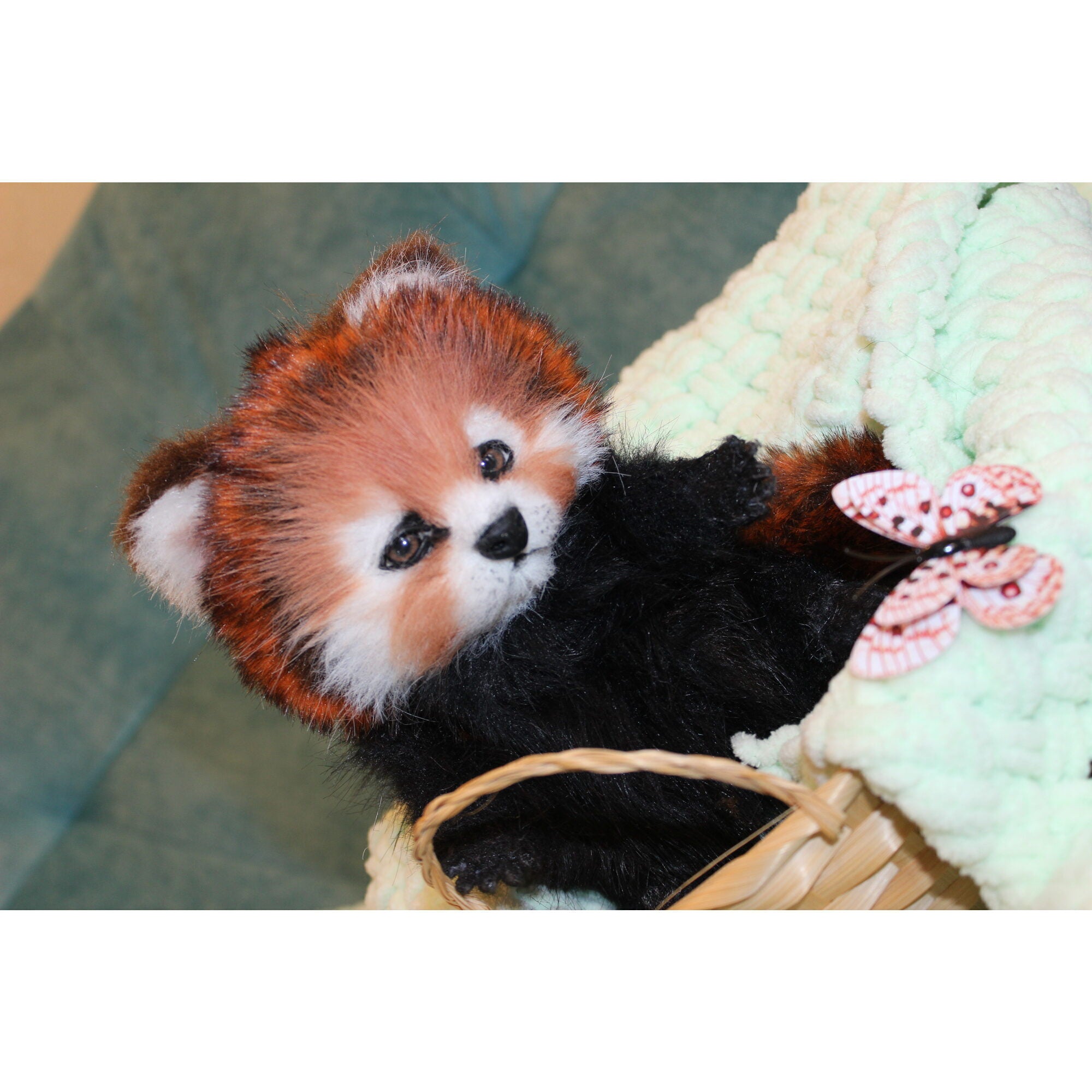 Red panda