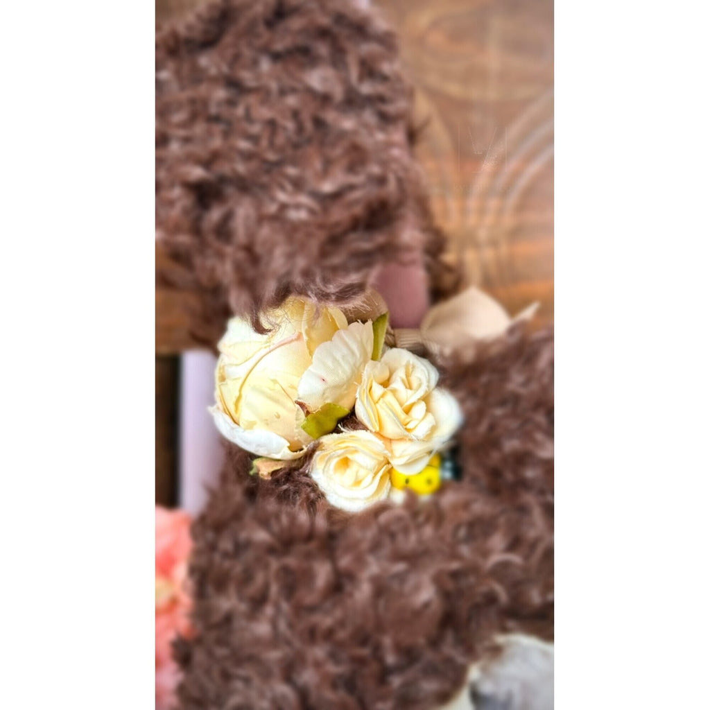 Teddy bear