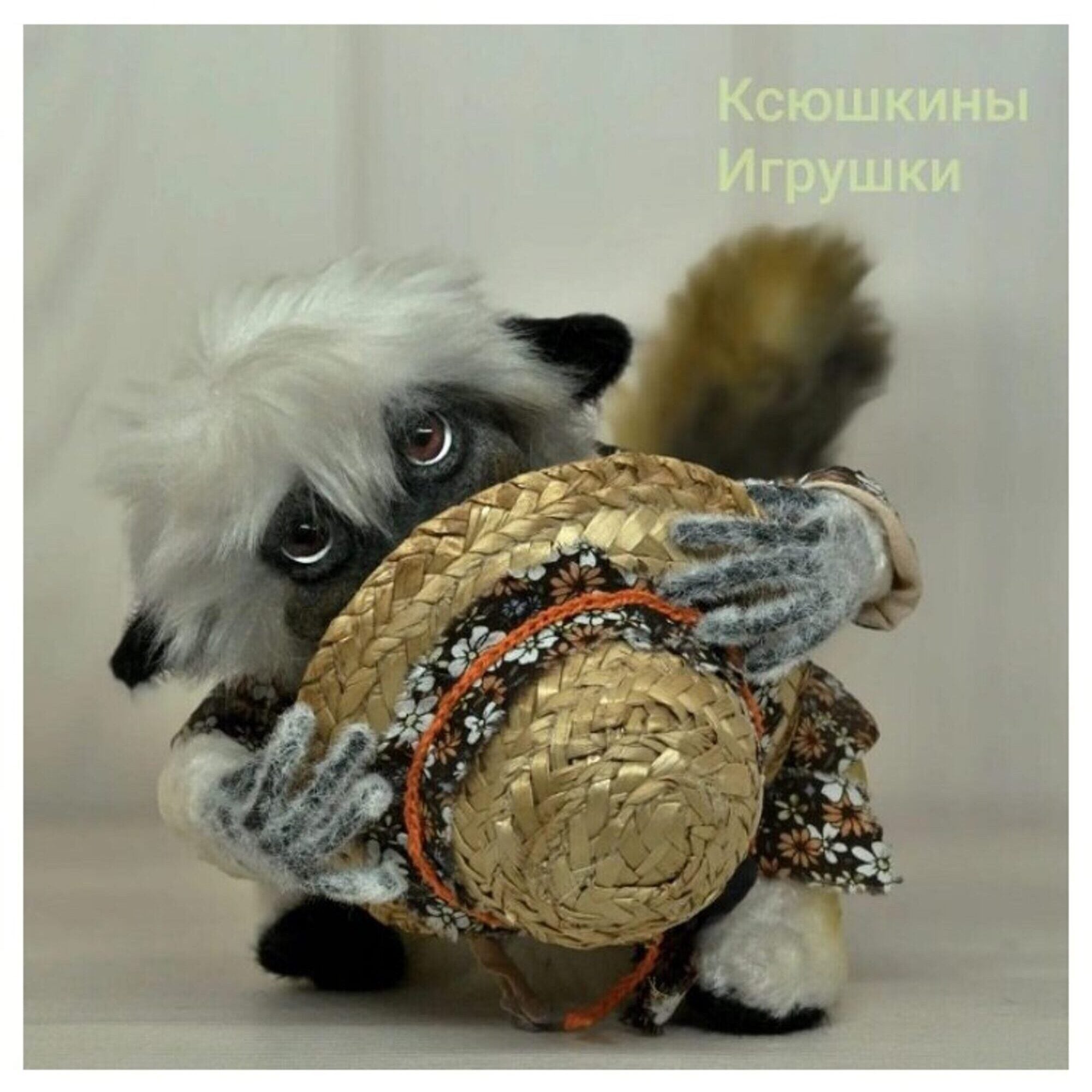 Author's Collectible Teddy Toy