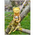 Frog with a fly