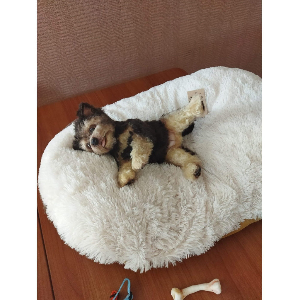 realistic puppy