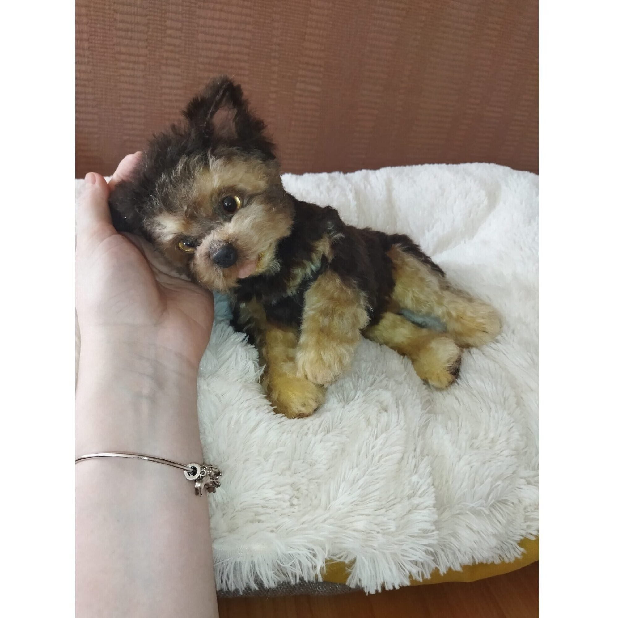 realistic puppy