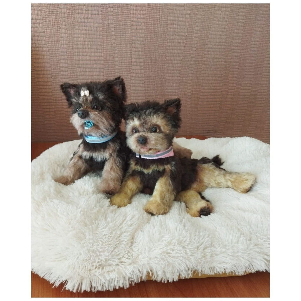 realistic puppy
