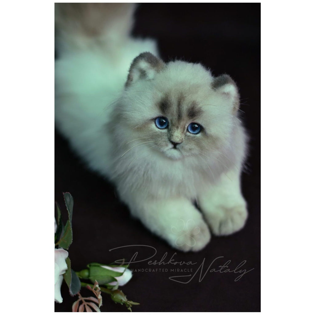 Faux fur kitten