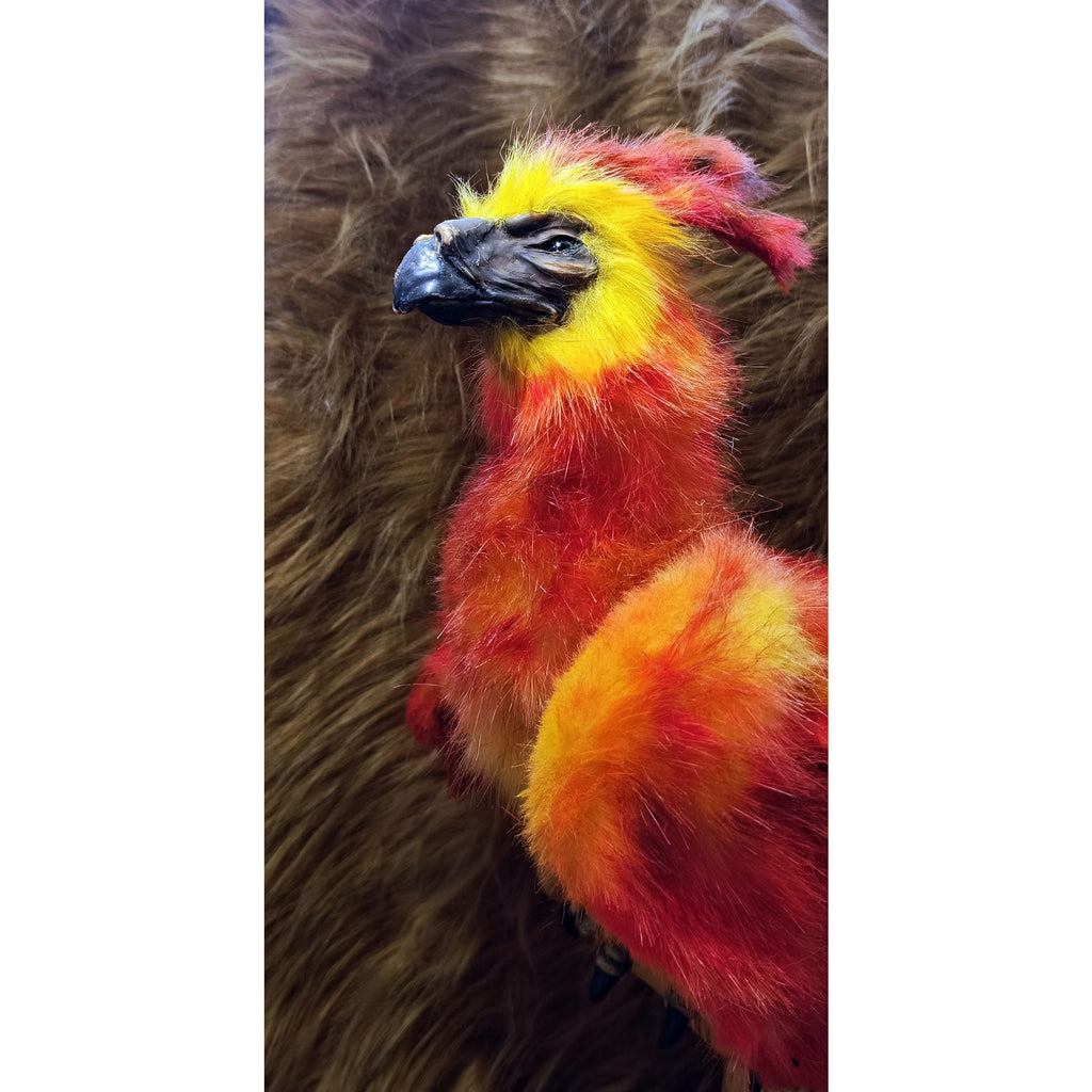 Phoenix bird Fantasy creature