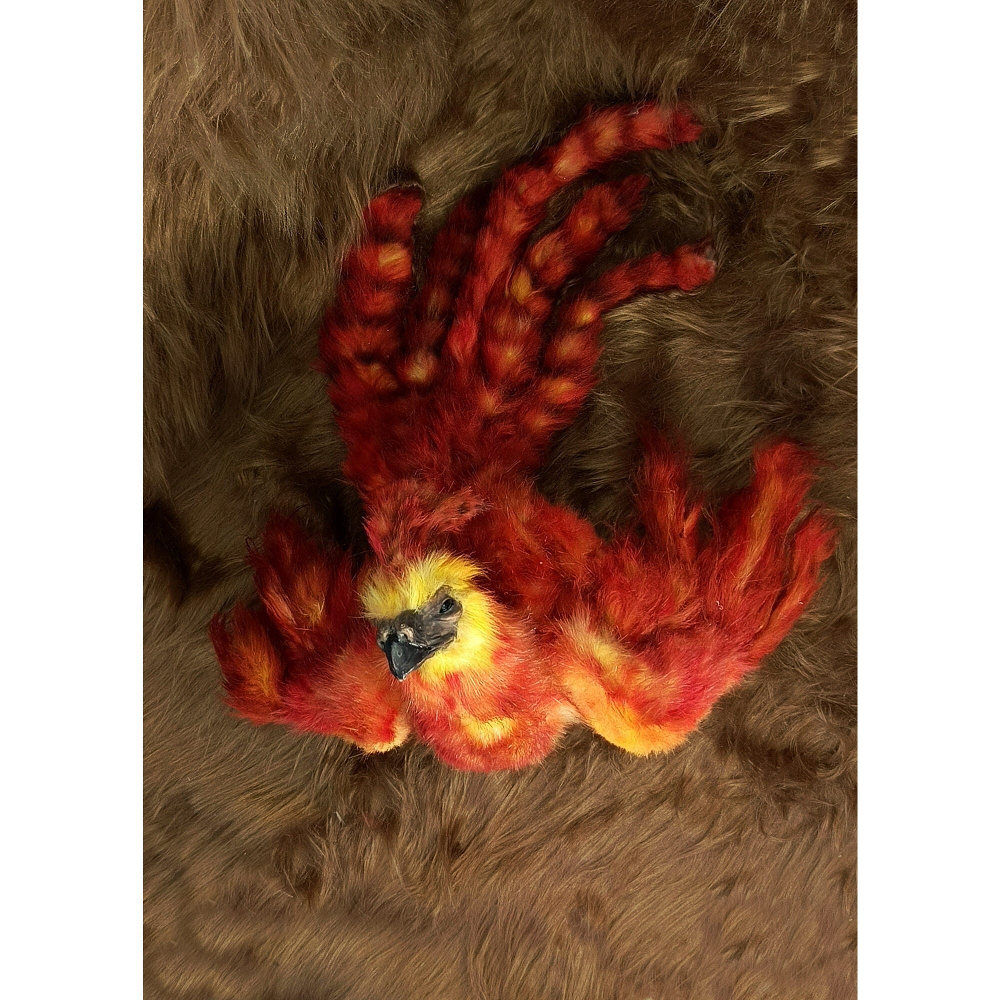 Phoenix bird Fantasy creature